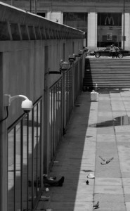 cory shapiro dollar menu